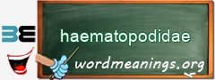 WordMeaning blackboard for haematopodidae